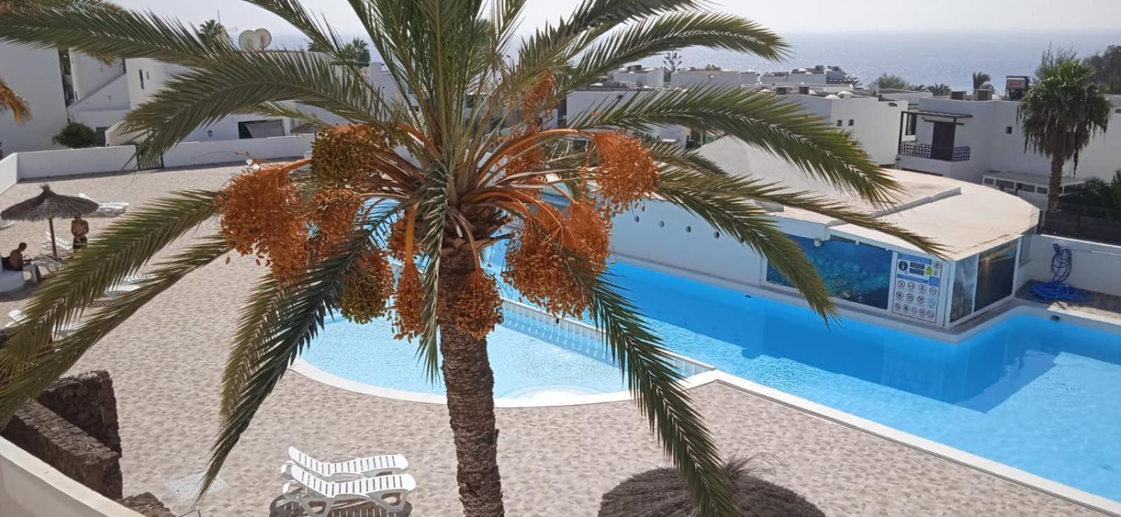 Blue View Hermoso Apartamento Remodelado Ubicacion Ideal Costa Teguise Exterior foto
